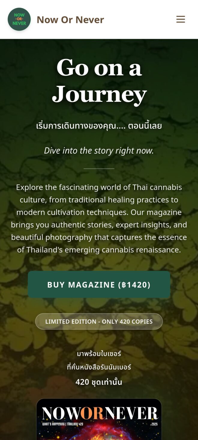 The same Now or Never Magazine homepage on a phone
